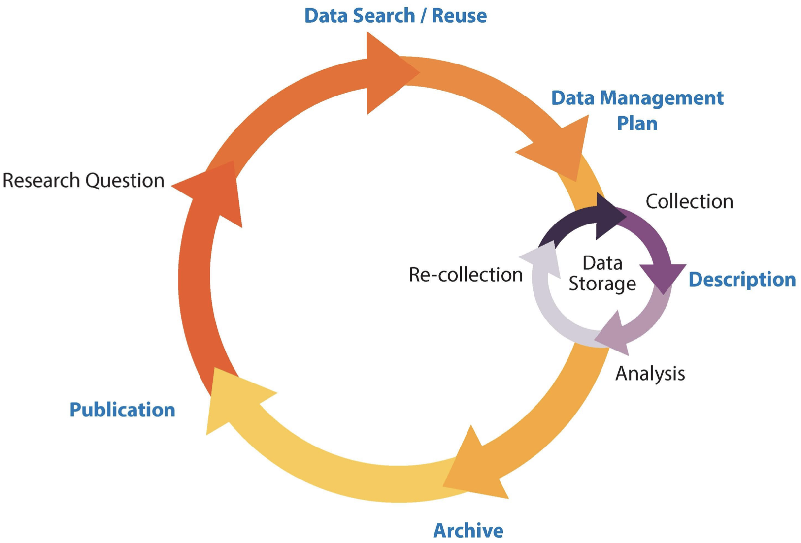 Phases of the research process in a circular shape. A smaller circular process naming the DMP processes.