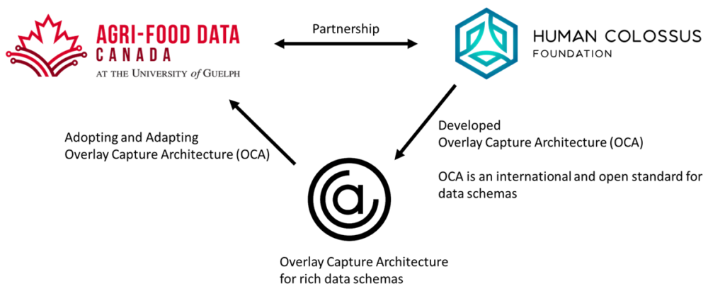The Human Colossus foundation has developed Overlay Capture Architecture (OCA) which is an open, international standard for data schemas. Agri-food Data Canada is adopting and adapting OCA in partnership with Human Colossus Foundation.