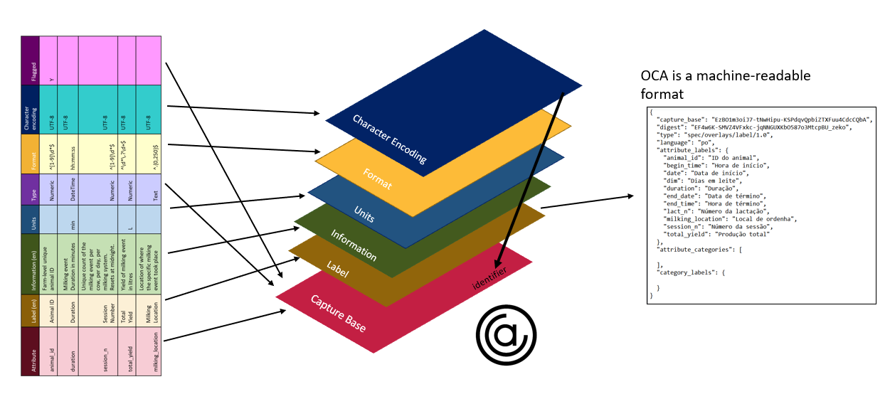 Different features of a schema are rendered as overlays on top of a structural capture base in the OCA schema format.