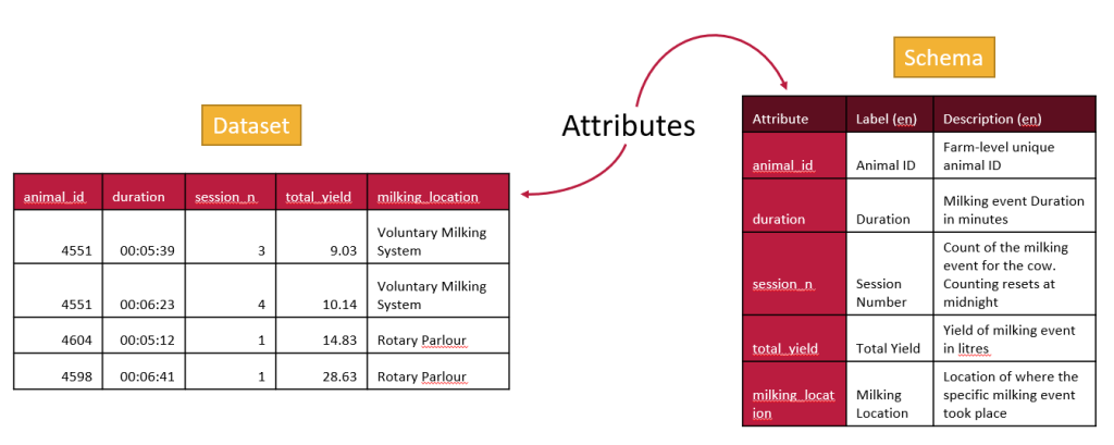 a table of data and the associated schema which describes features of each attribute or column of the dataset.