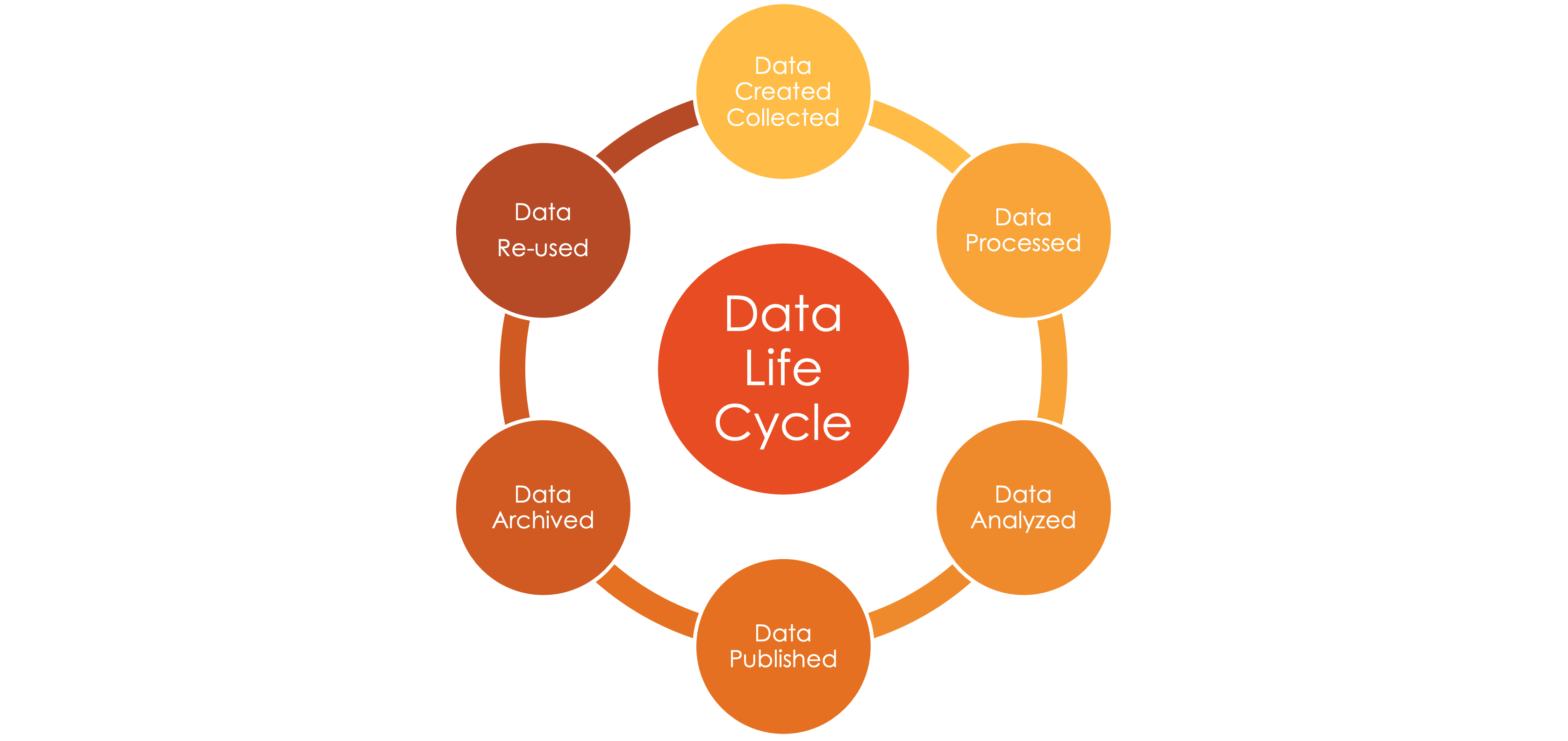 Data Life Cycle