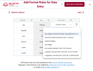 Add format rules for data entry using the Semantic Engine