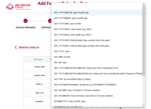 Adding a format rule for data entry in the Semantic Engine.