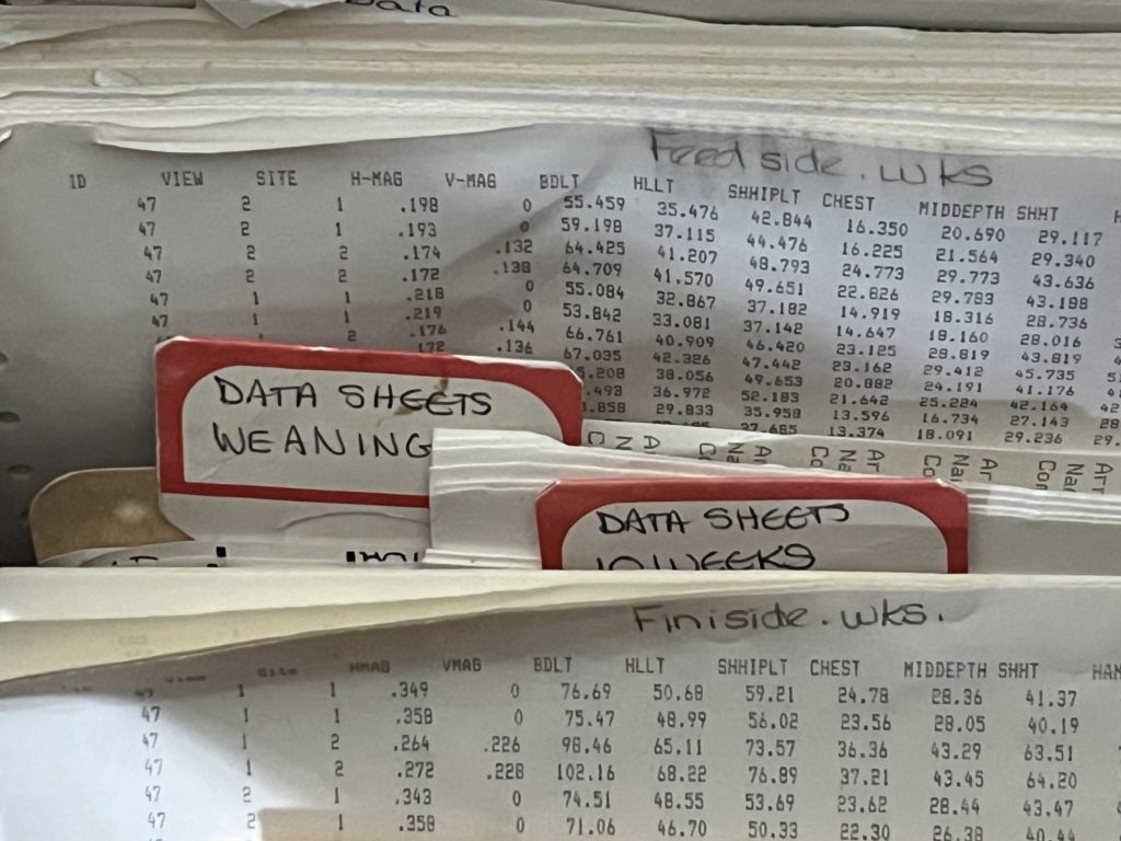Image of folders
