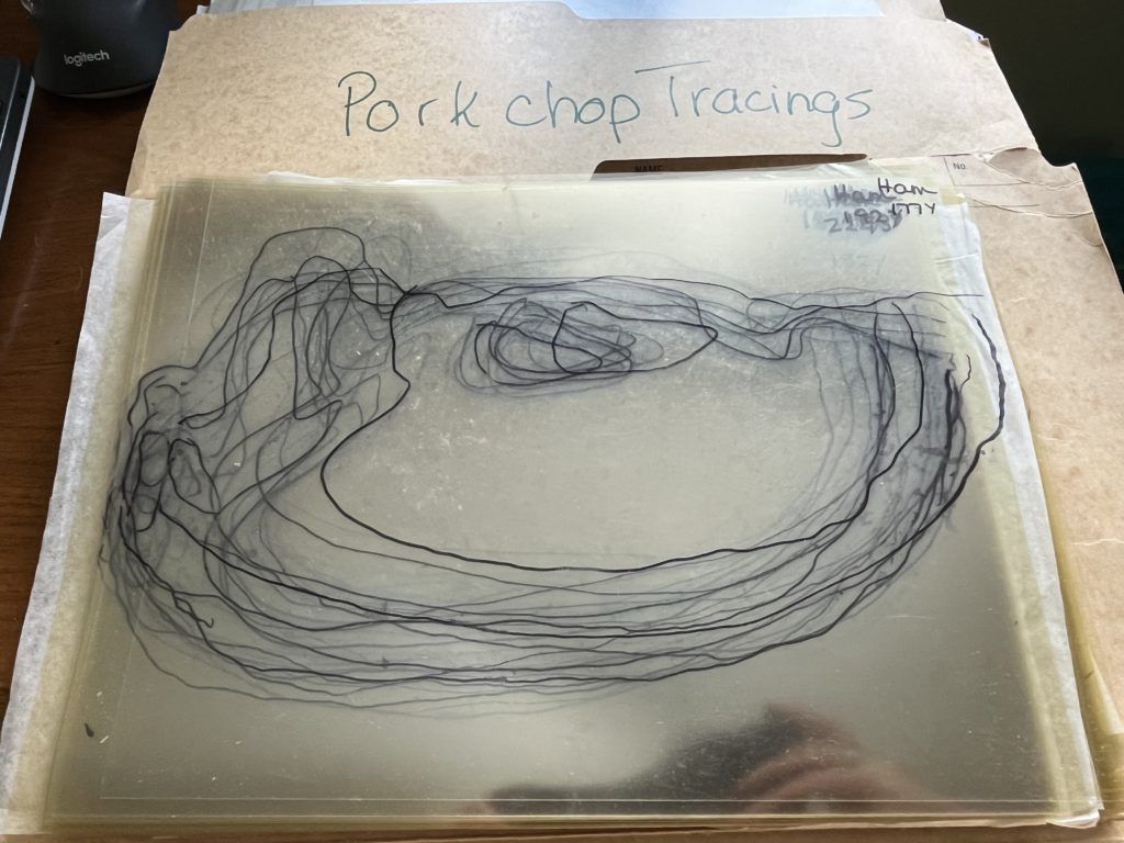 Image of acetate tracings